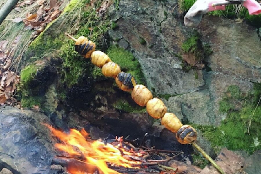 Tűzön főzés - burgonya