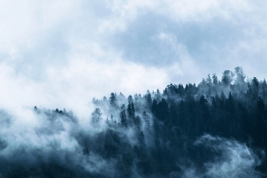 Természet télen. Forrás: https://www.pexels.com/cs-cz/foto/ryma-svetly-krajina-hory-167699/
