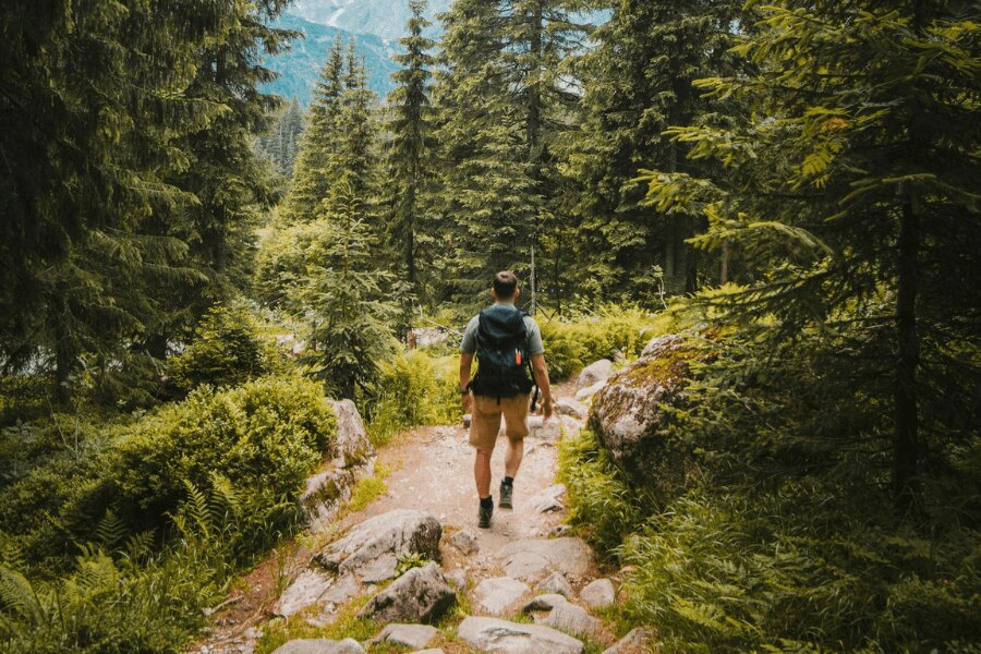 Hátizsákos férfi túrázás közben az erdőben. Forrás: https://www.pexels.com/cs-cz/foto/priroda-muz-dovolena-chuze-2629233/