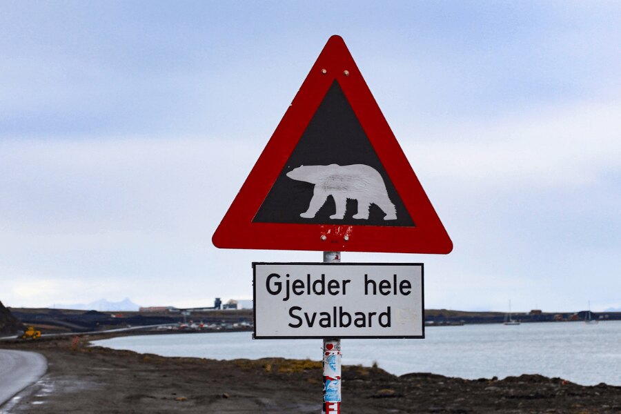 Spitsbergen, Norvégia. Forrás: https://pixabay.com/cs/photos/%C5%A1picberky-skandin%C3%A1vie-severn%C3%AD-4763129/