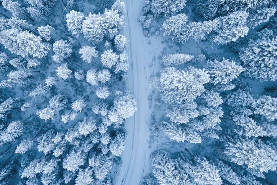 Havas erdő, kilátás drónról. Forrás: https://www.pexels.com/cs-cz/foto/1438761/