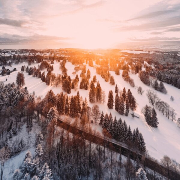 Napkelte és ébredő táj. Forrás: https://www.pexels.com/cs-cz/foto/1643773/