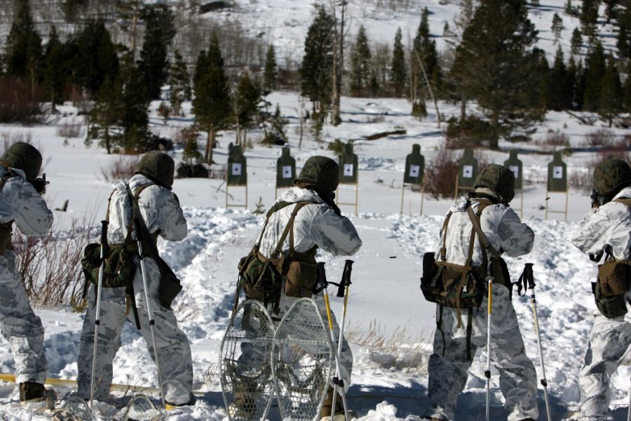 MARPAT™ álcázási minta - Téli és Hó álca