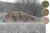Álcaháló Camo Net 6×8,5 m Ghosthood® IRR