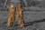 Álcázó nadrág Ghost Legs Ghosthood® IRR